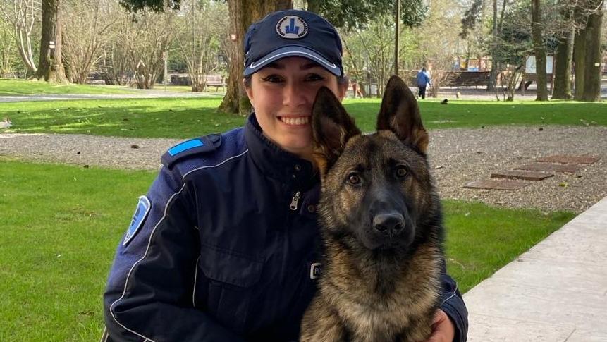 Ecco Argo il cane della polizia locale della Bassa reggiana