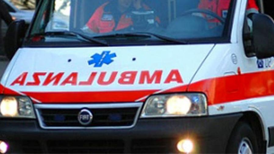Pisa, 14enne cade da cavallo e perde conoscenza: portata a Cisanello