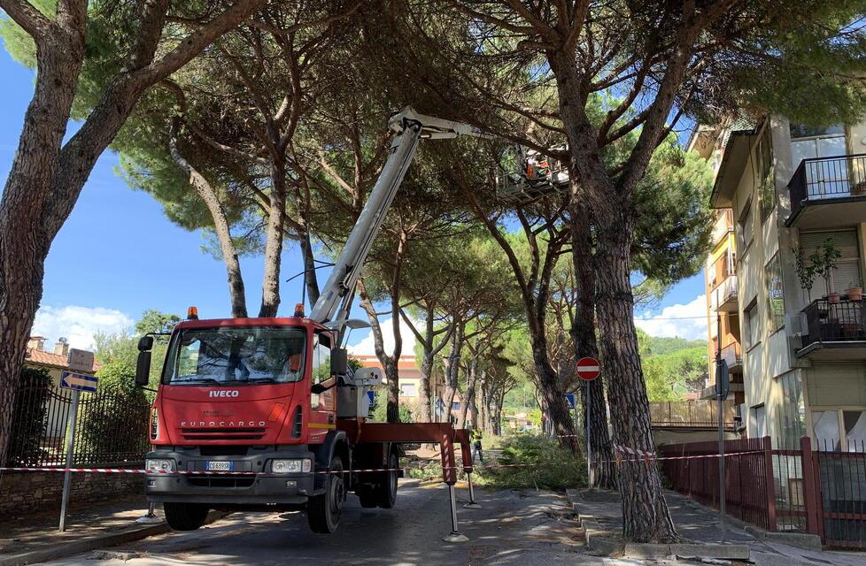 Un precedente taglio di alcuni alberi in via Sardegna negli anni scorsi (foto Nucci)