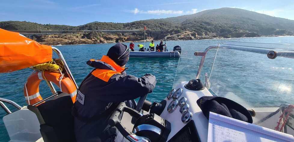 Livorno, dal Boccale al Sonnino arrivano gli atolli: concluse le ispezioni archeologiche subacquee<br>
