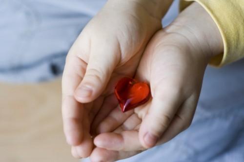 
	Foto simbolo della donazione degli organi

