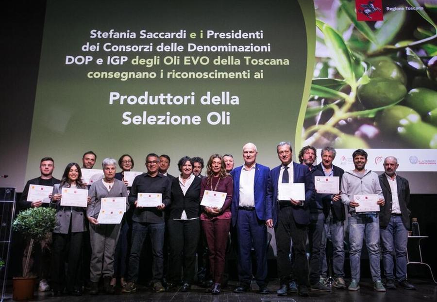 Olio extravergine, le aziende top della Toscana: chi sono i migliori produttori