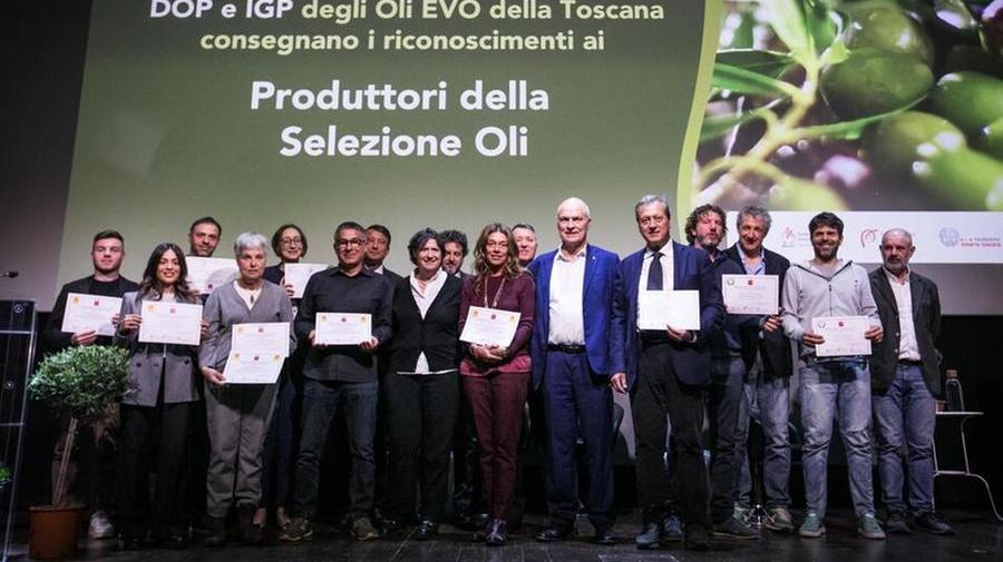 Olio extravergine, le aziende top della Toscana: chi sono i migliori produttori