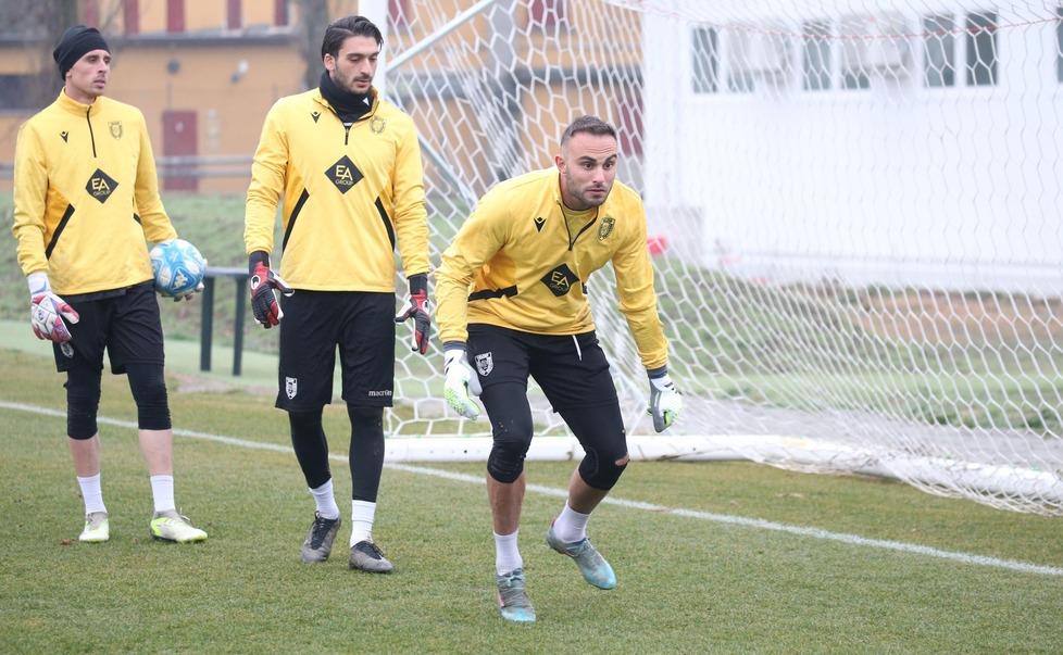 Reggiana, Tempi Lunghi Per Bardi La Salvezza Nelle Mani Di Satalino ...