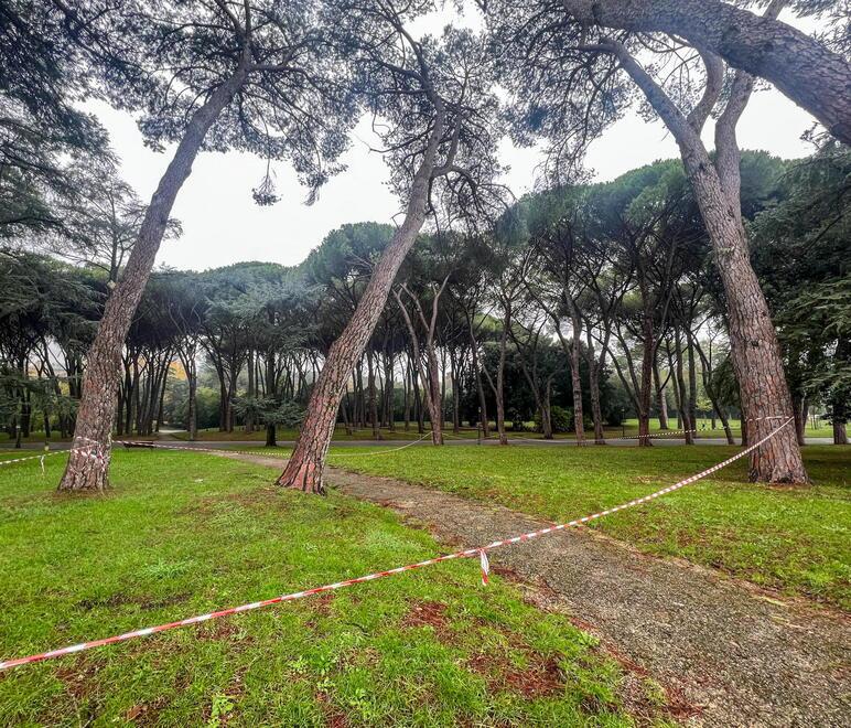 Montecatini, pineta off limits ma frequentata. «Rischi e pericoli per i cittadini»
