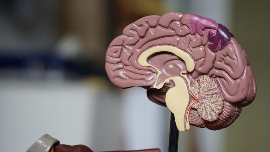 Sassari, sabato 13 screening gratuito per la prevenzione di demenza e disturbi cognitivi