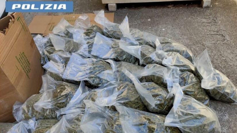 In auto sulla 131 con oltre 30 chili di marijuana: bloccato vicino a Nuraminis e arrestato