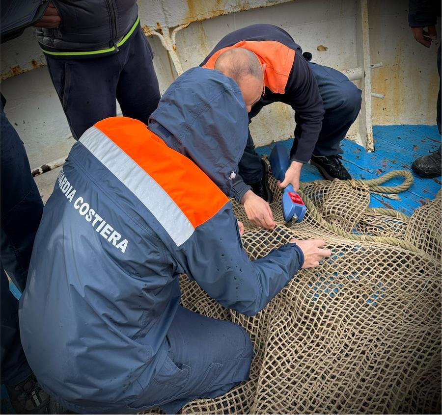 
	La misurazione della dimensione delle maglie delle reti

