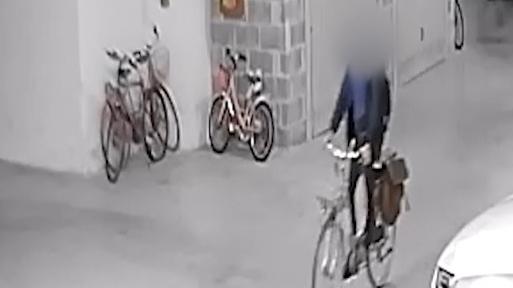 Livorno, furti nei garage: chi è il 43enne finito in carcere