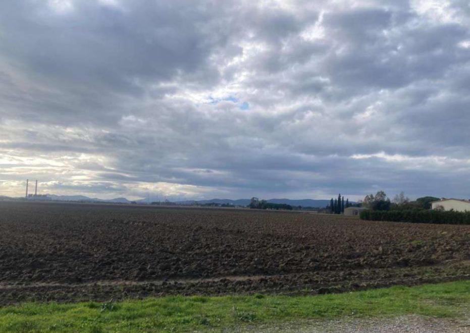 Uno scorcio dei terreni interessati dal progetto agrivoltaico in zona Alturetta e Paduletto a Piombino