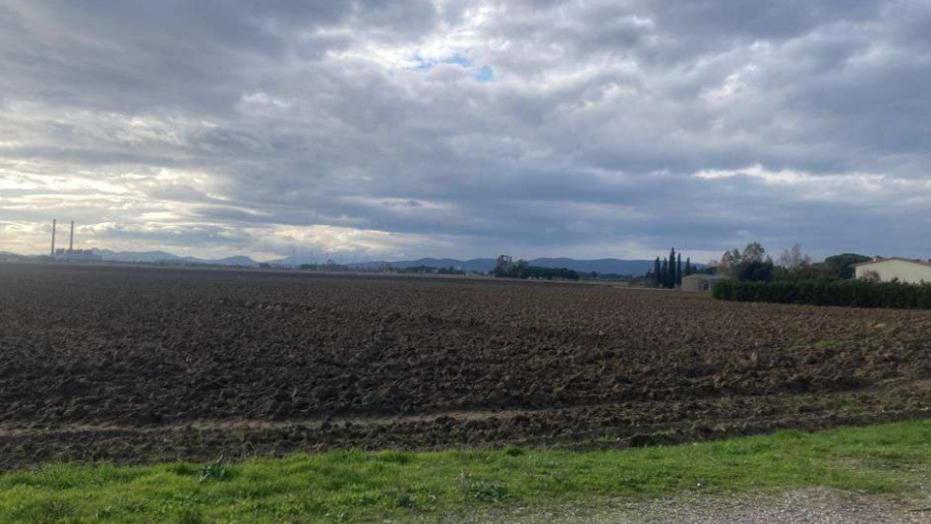 Uno scorcio dei terreni interessati dal progetto agrivoltaico in zona Alturetta e Paduletto a Piombino