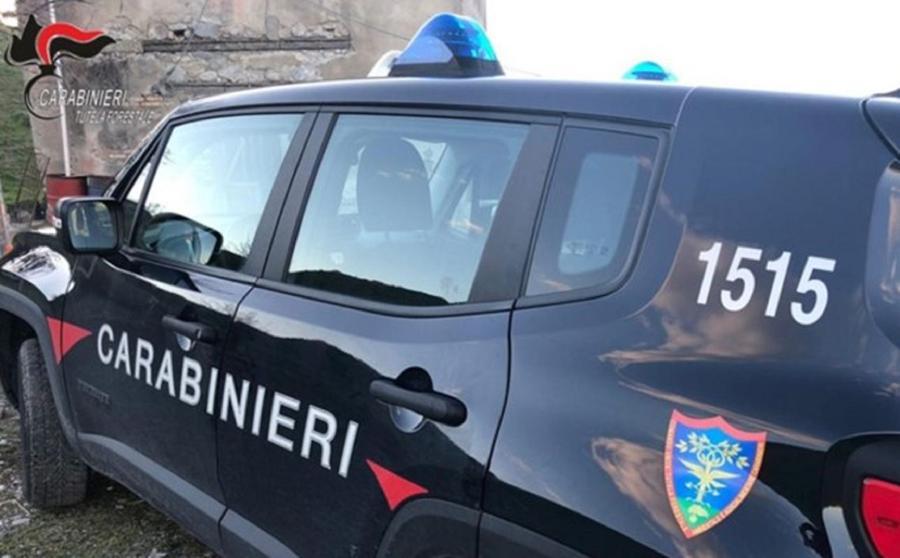 
	Un'auto dei carabinieri forestali (foto d'archivio)

