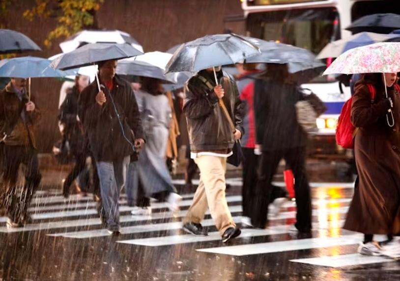 «La pioggia è un vero tesoro: accumuliamola nei palazzi»