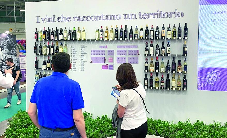 Due vini, due storie: il racconto di un territorio