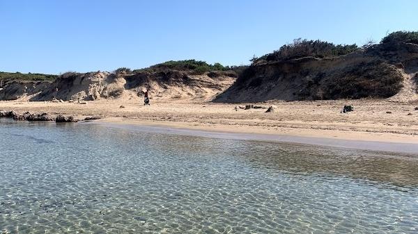 
	La spiaggia di Is Benas nel comune di San Vero Milis, unica area per&nbsp;naturisti della Provincia

