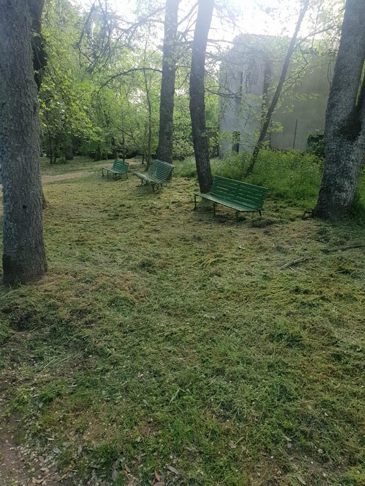 
	Un tratto dell'Ortobene interessato dagli sfalci

