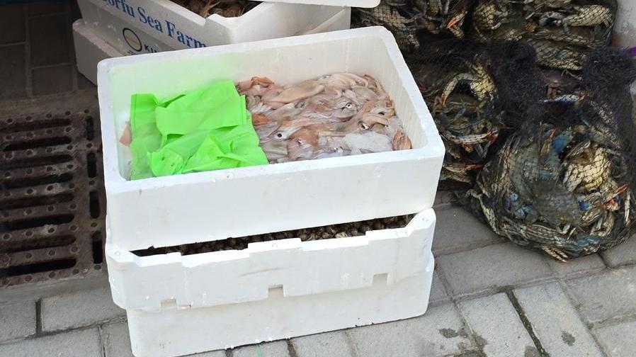 Vignola, sequestrati 120 chili di prodotti alimentari tra granchi blu, gamberi e calamari