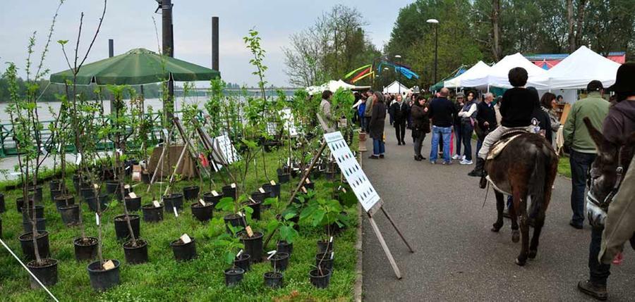 Dieci cose da fare tra Reggio Emilia e provincia nel week end