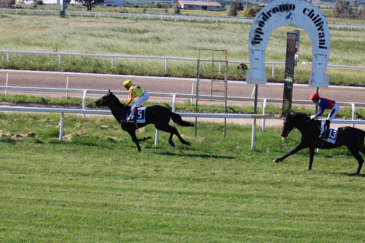 Fantastic Day e Facoltosa de Bonorva, a Chilivani si sfidano le femmine angloarabe