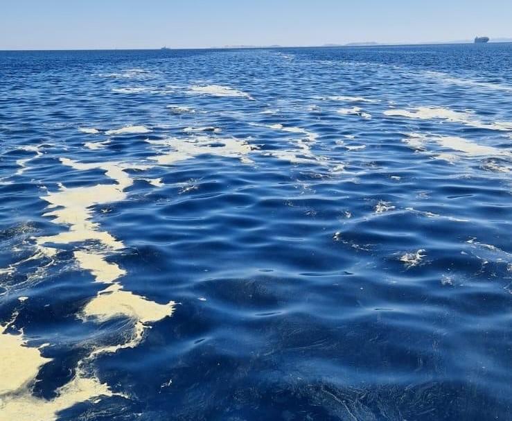 Avvistata una scia gialla, sulle Bocche l’incubo inquinamento