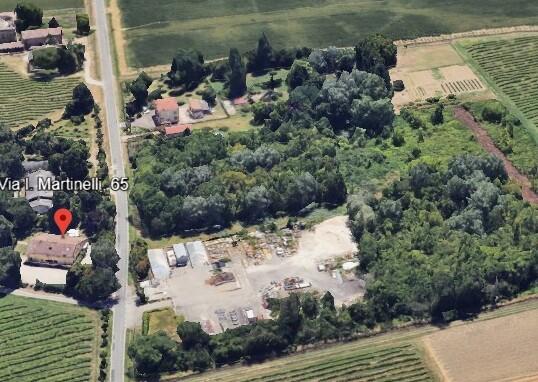 Carpi, il nuovo gattile è pronto a nascere: «Un’area da 3600 metri quadri»<br type="_moz" />
