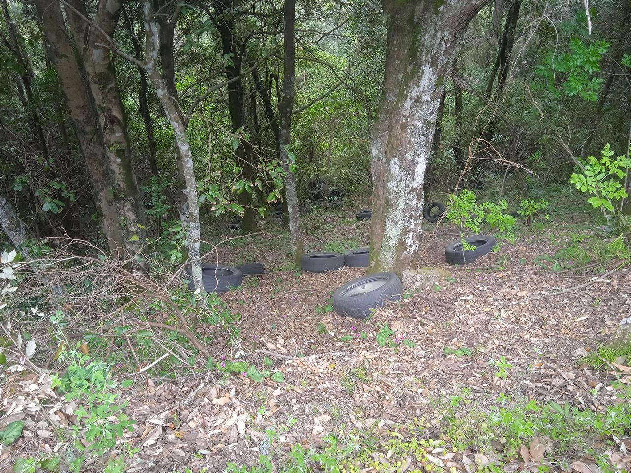 Tempio, discarica di pneumatici sotto il passo del Limbara