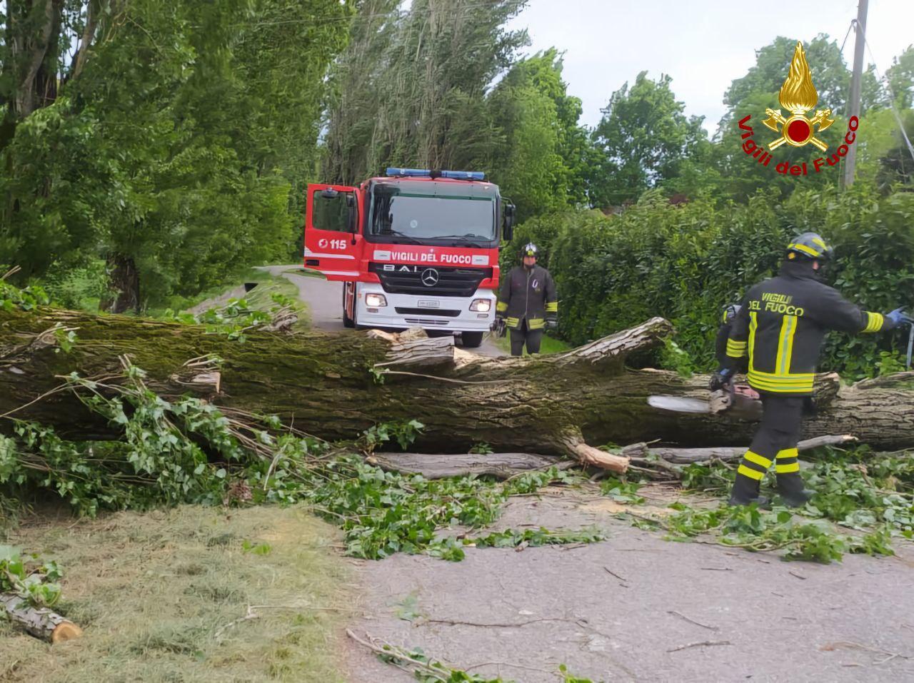 Il vento forte fa cadere rami e alberi su strade e case