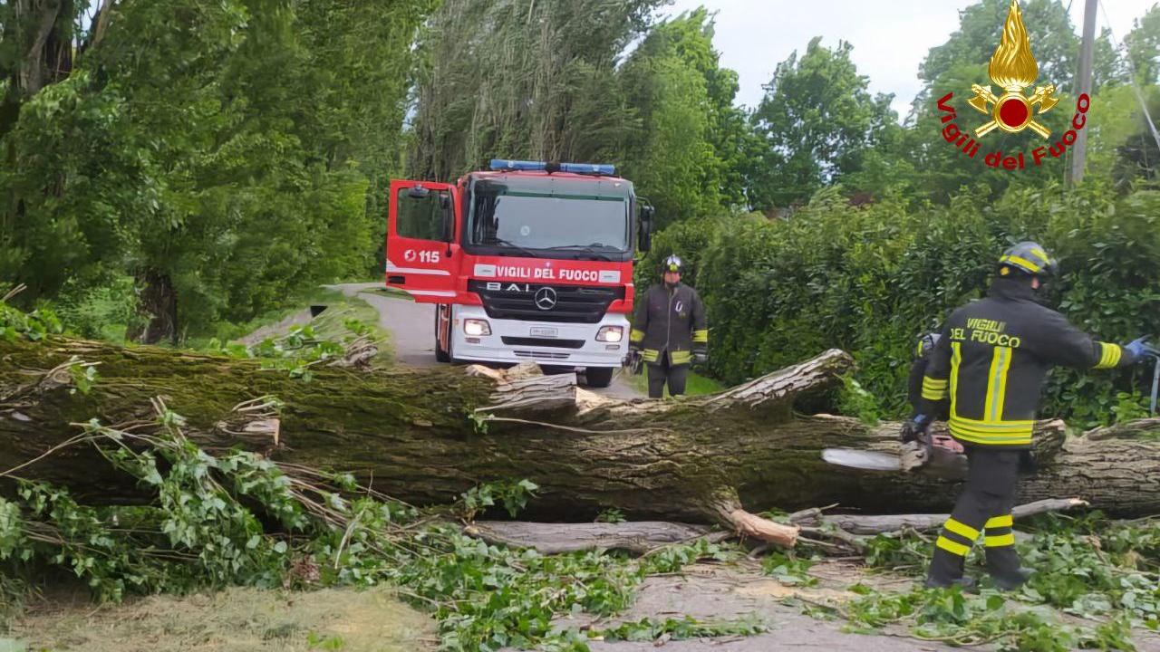 Il vento forte fa cadere rami e alberi su strade e case