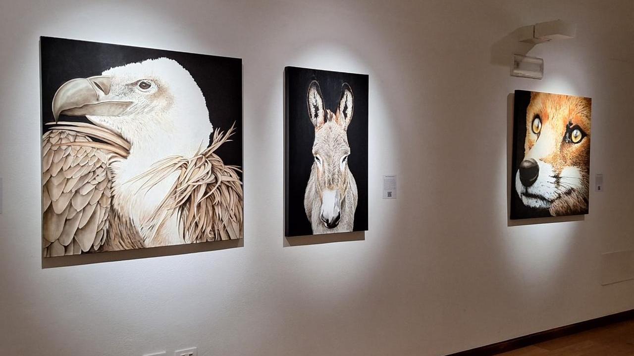 Alcune delle opere esposte alla mostra Tiliguerta