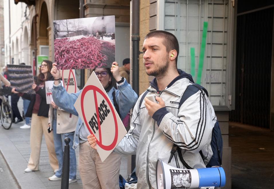 Animalisti ancora contro Max Mara: «Basta pellicce»