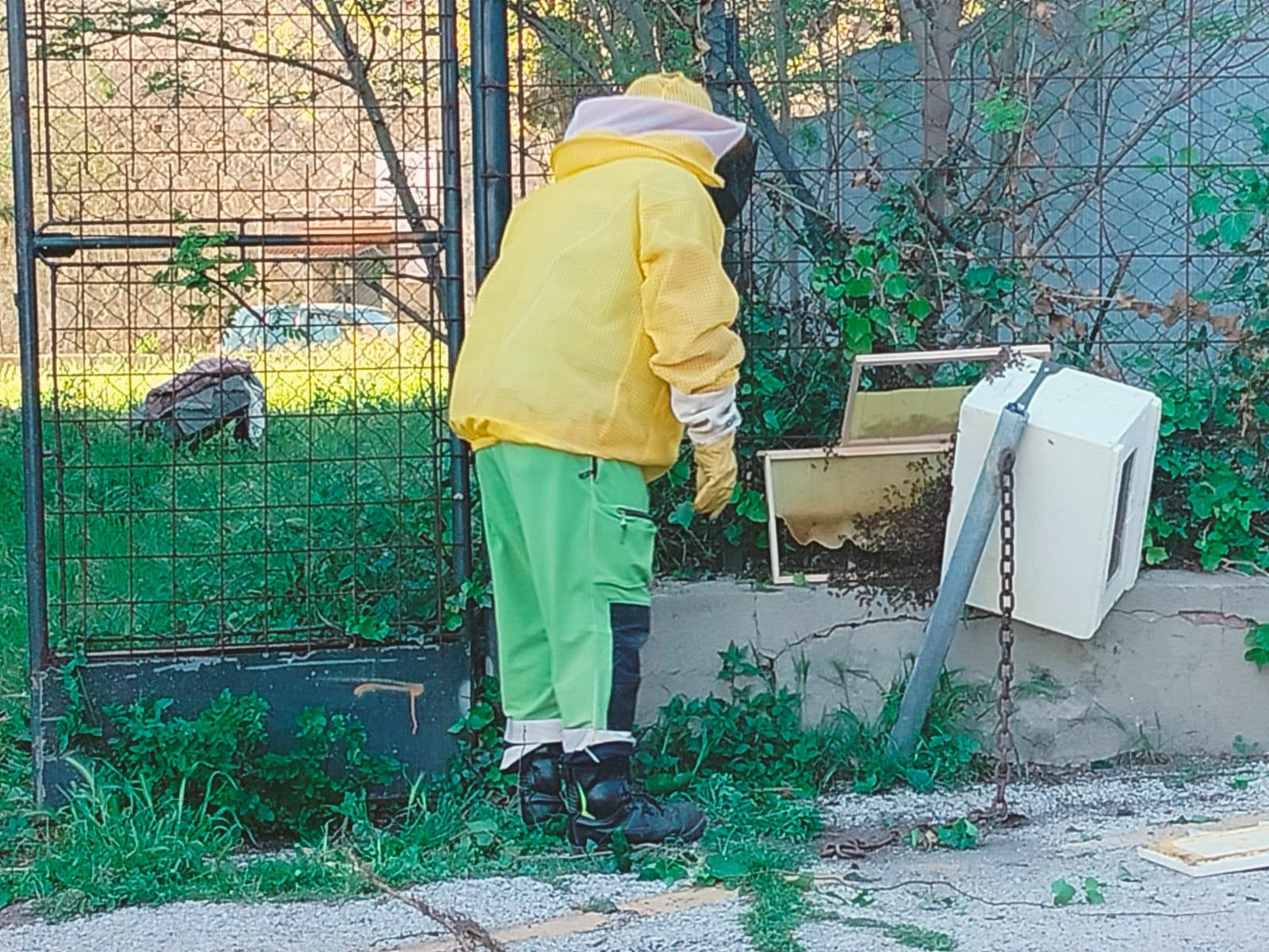 Il salvataggio