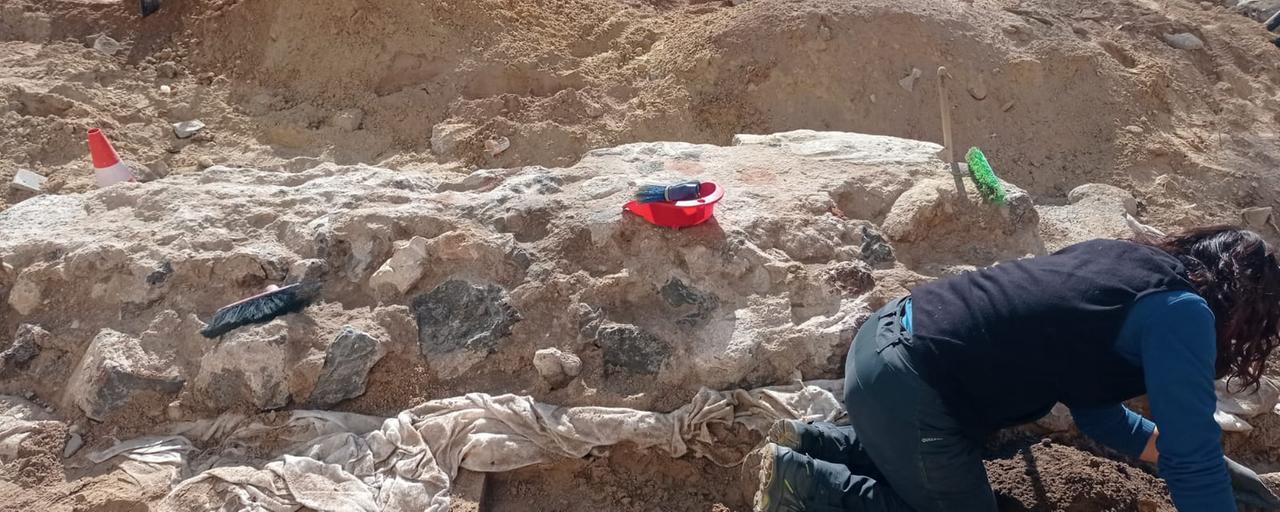 
	Le mura emerse dagli scavi. E' facile prevede che a ogni scavo se ne trovino altri elementi

