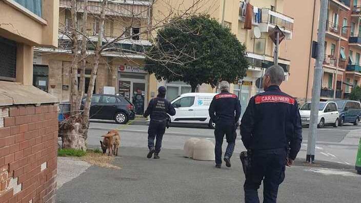 Carabinieri nella zona di piazza Magenta (foto d'archivio)