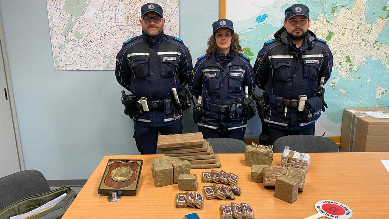 Modena, la Polizia Locale sequestra oltre 17 chili di hashish