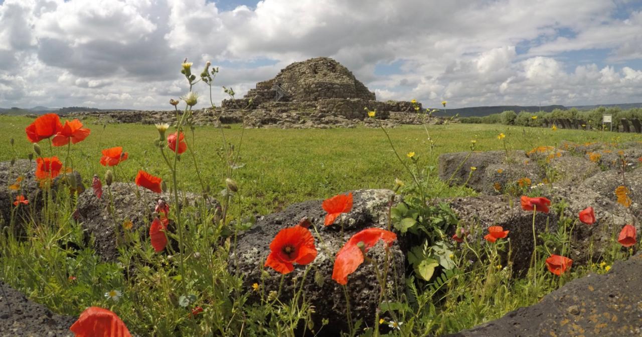 Su Nuraxi di Barumini e la cultura nuragica protagonisti negli Stati Uniti