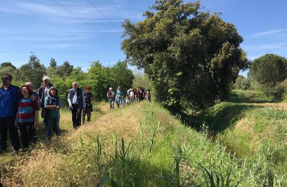 
	Alcune persone nel cosiddetto bosco urbano di Rosignano

