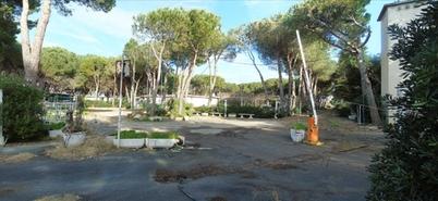 
	L'area del vecchio campeggio Sant'Albinia

