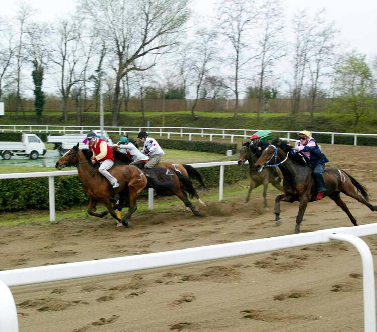 Una recente edizione delle Corse di Primavera nella Buca del Palio di Fucecchio