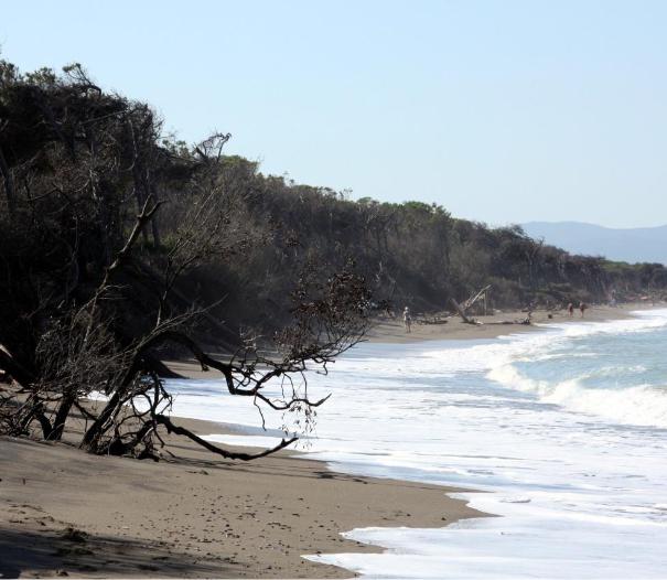 Cecina, c’è il via libera ad altri due isolotti per salvare la costa del Tombolo sud