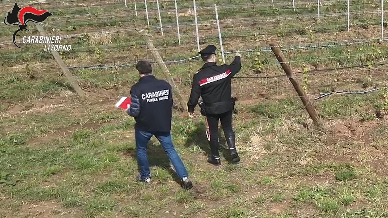 
	Carabinieri durante un controllo in un campo

