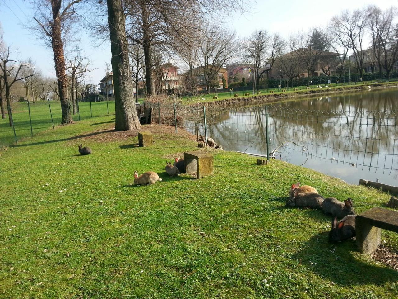 Cantiere al parco laghetto Modena Est: in arrivo telecamere e spazi per disabili