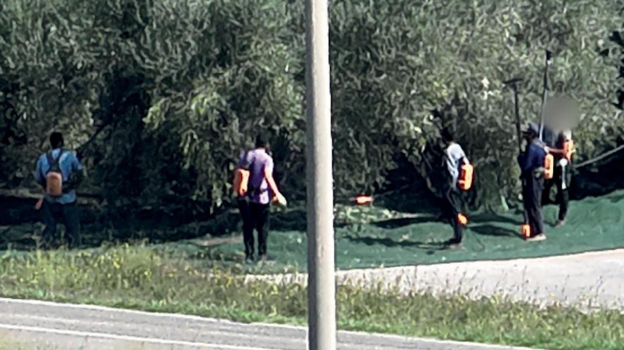 I migranti reclutati dentro il centro di accoglienza, dieci arresti per caporalato in Toscana: le accuse, i nomi e il sistema