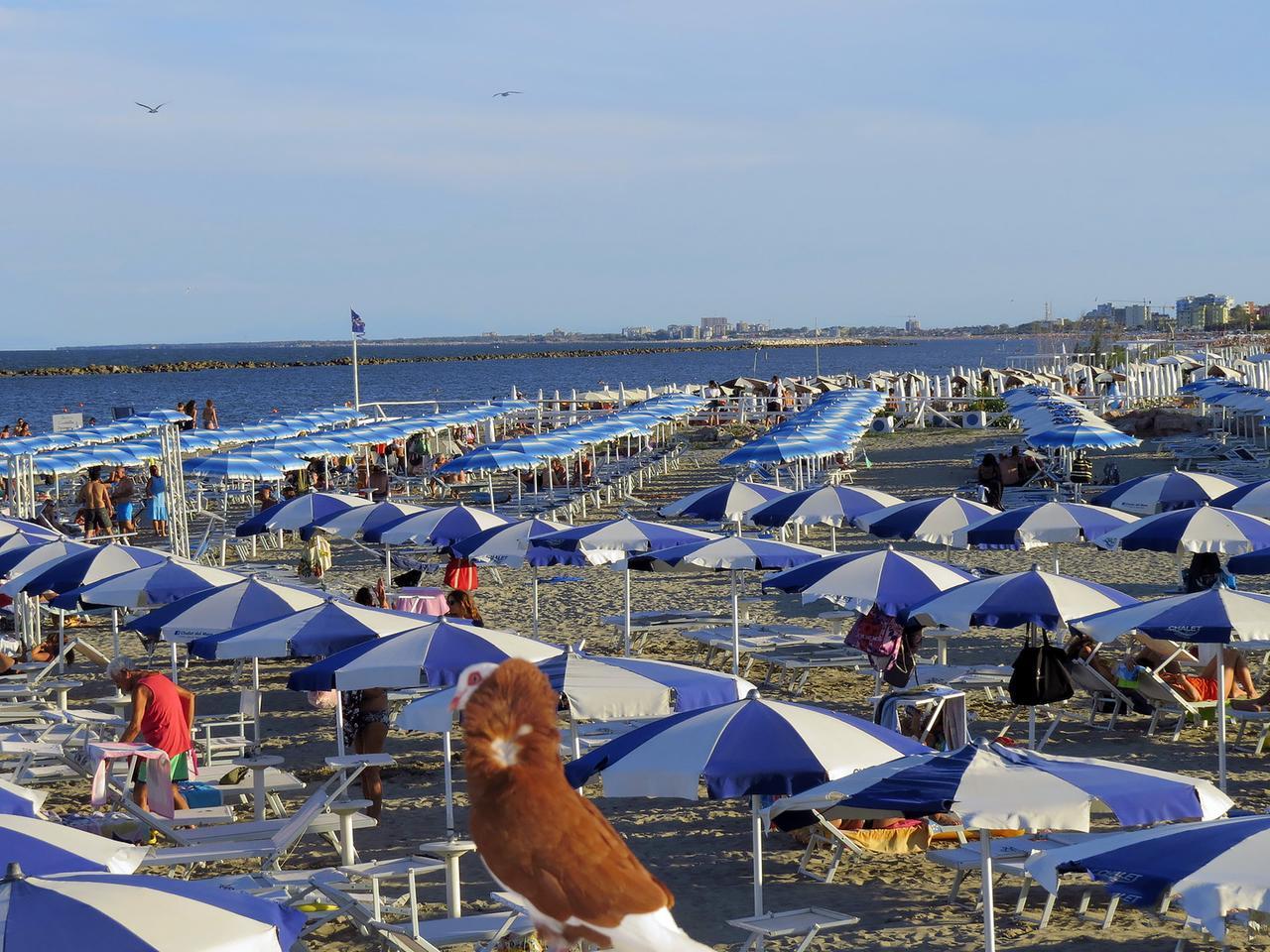 Lidi, nuove regole per l’apprendistato: in spiaggia tornano gli under 16