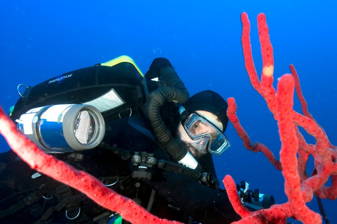 Pesca del corallo: la giunta regionale detta le regole