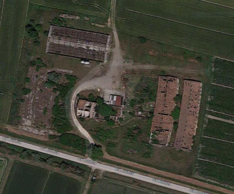 «A Fabbrico un allevamento intensivo di tacchini. Non lo vogliamo»