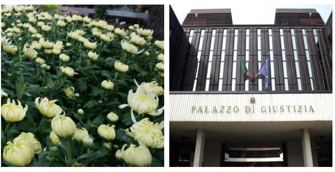 Mette i crisantemi sullo zerbino del suo ex, donna a processo