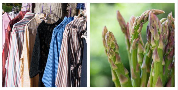 Dieci cose da fare a Reggio Emilia e provincia