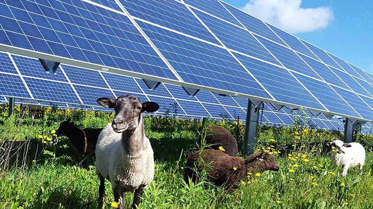 Il governo frena sugli impianti fotovoltaici nei terreni agricoli