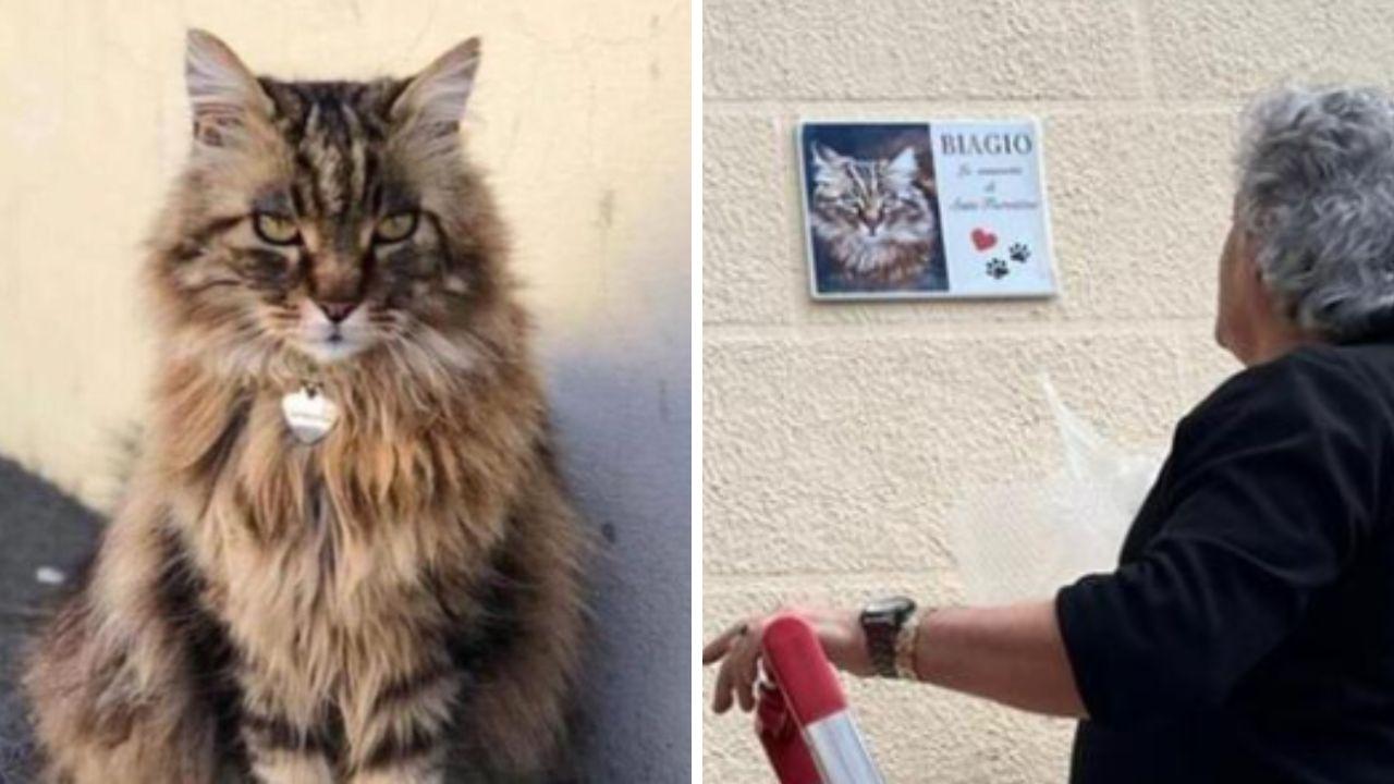 Il gatto Biagio e la targa a lui dedicata