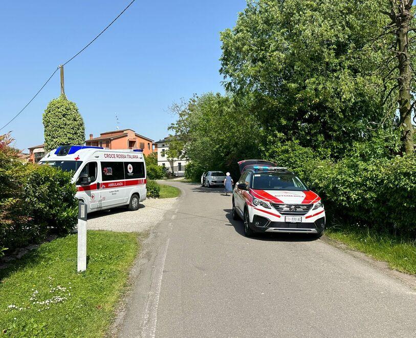 Correggio, grave dopo essere stato punto da un'ape